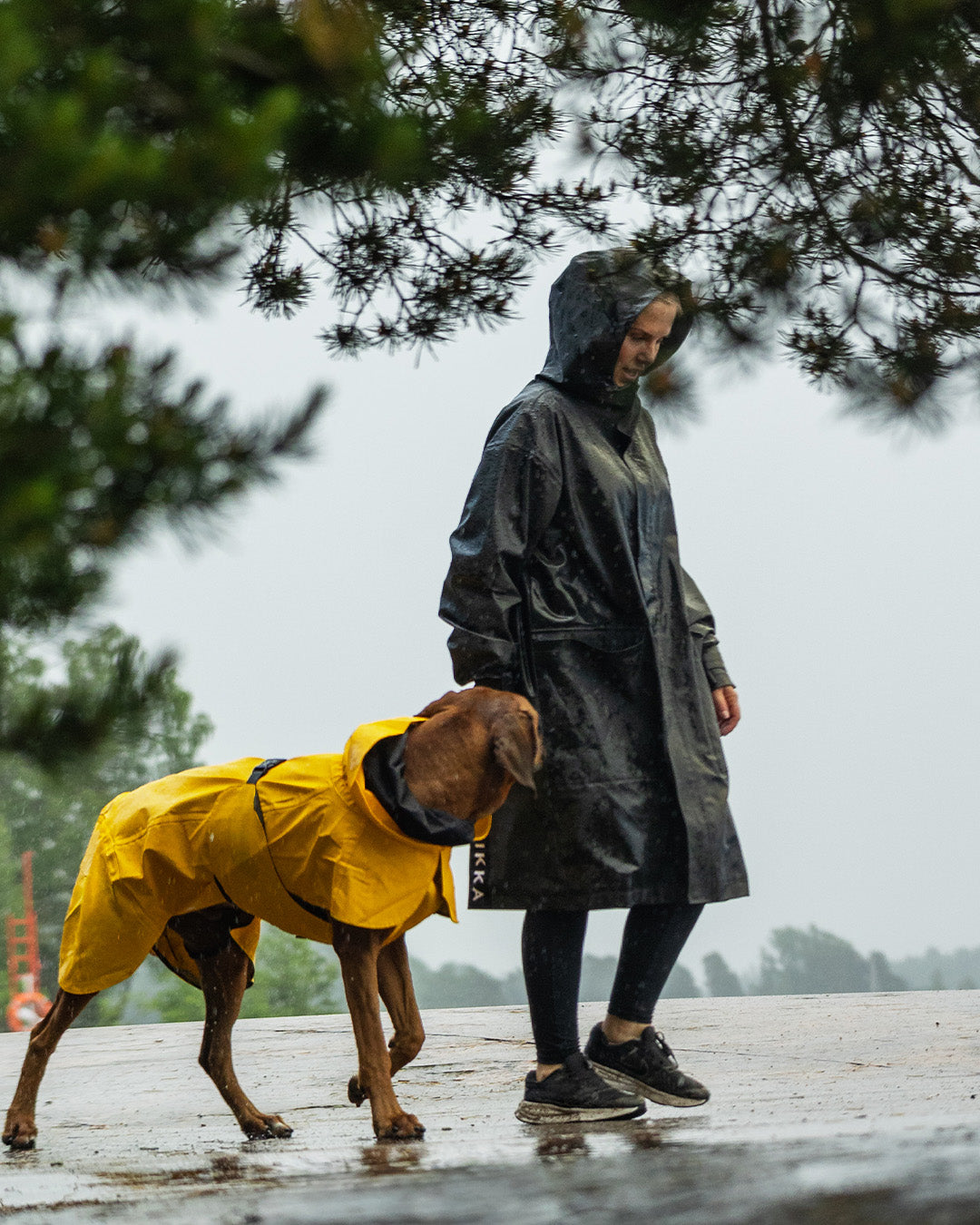 Human Raincoat SADE Dark NEW