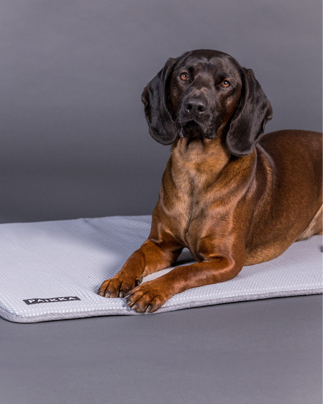 PAIKKA Kühldecke Grau