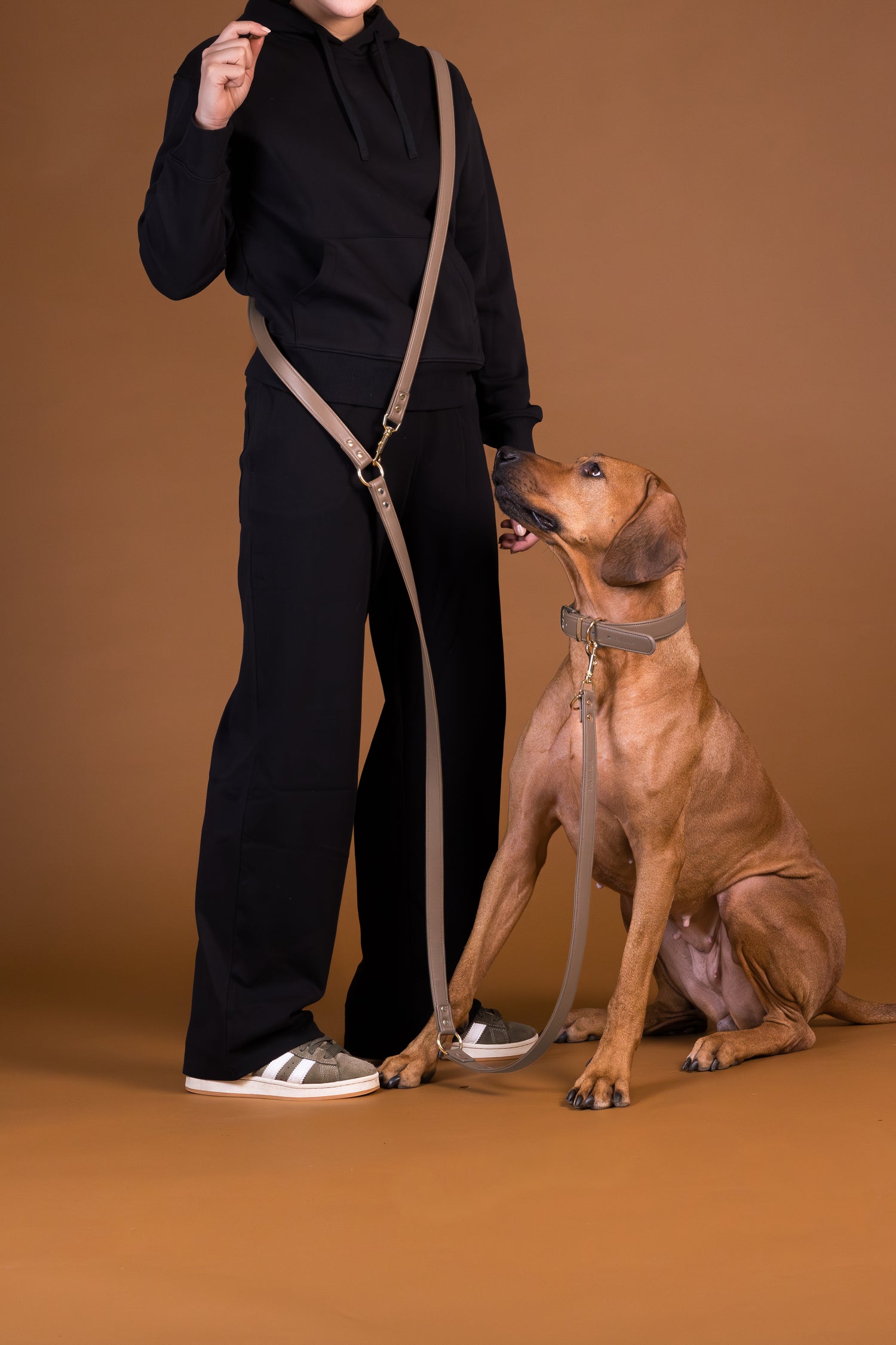 PAIKKA Lignify Multi-Leash for Dogs Taupe