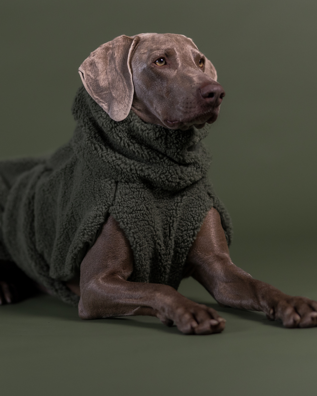PAIKKA Sherpa Shirt for Dogs Olive