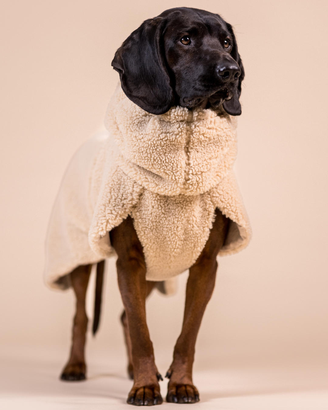 PAIKKA Sherpa Hundeshirt Taupe