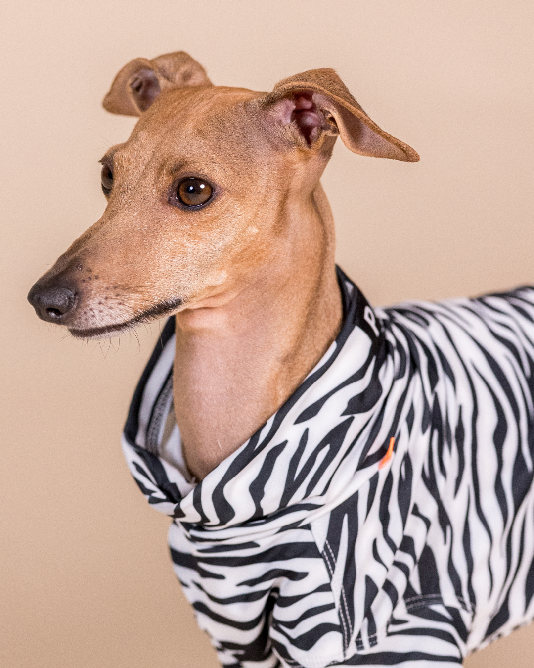 PAIKKA SS25 UV & Bug Shirt