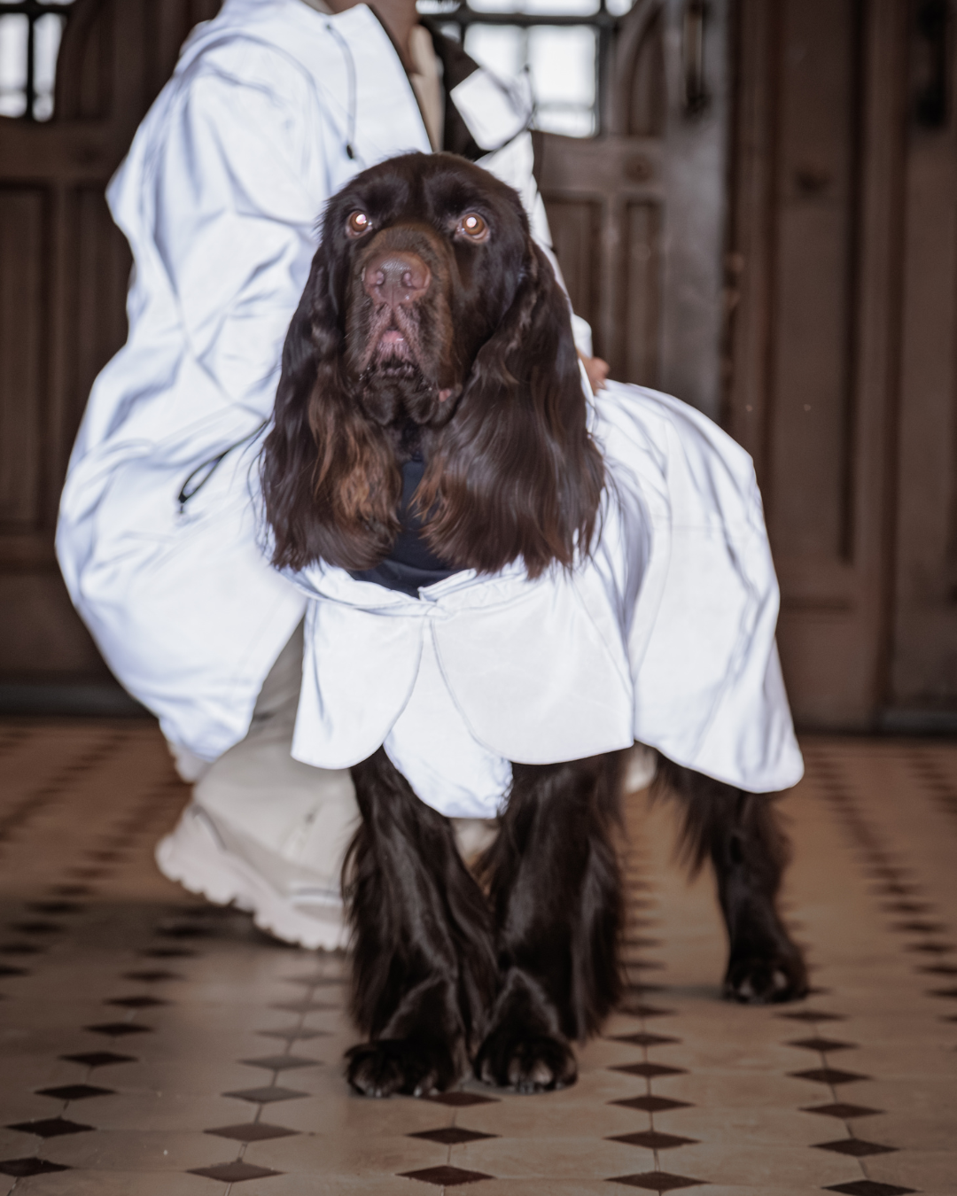 PAIKKA Visibility Raincoat Lite for Dogs Taupe