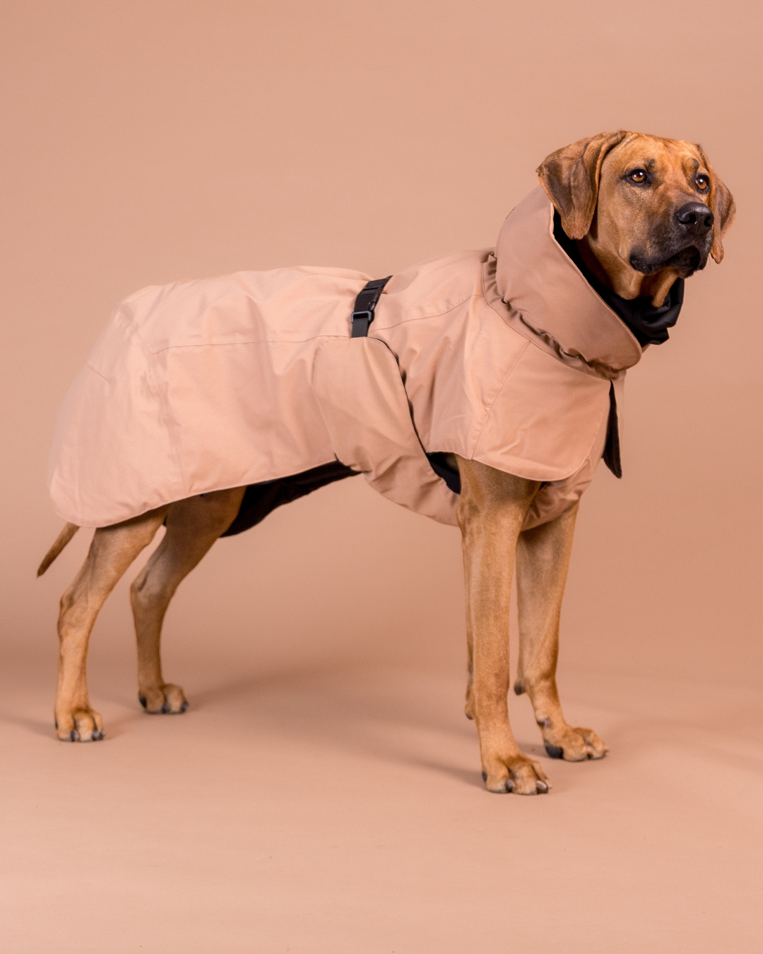 PAIKKA Visibility Hundewinterjacke Wool Taupe