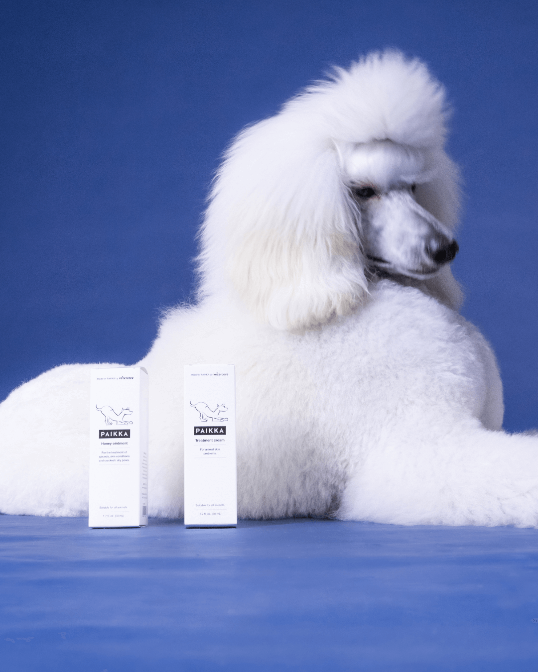 PAIKKA Treatment Cream 50ml