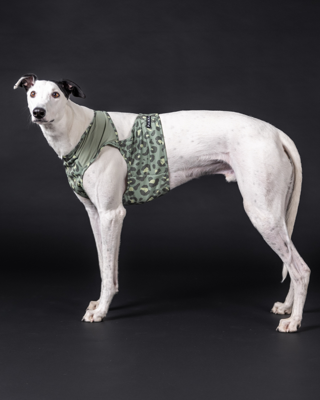 PAIKKA Hunde-Kühlweste Green Leo