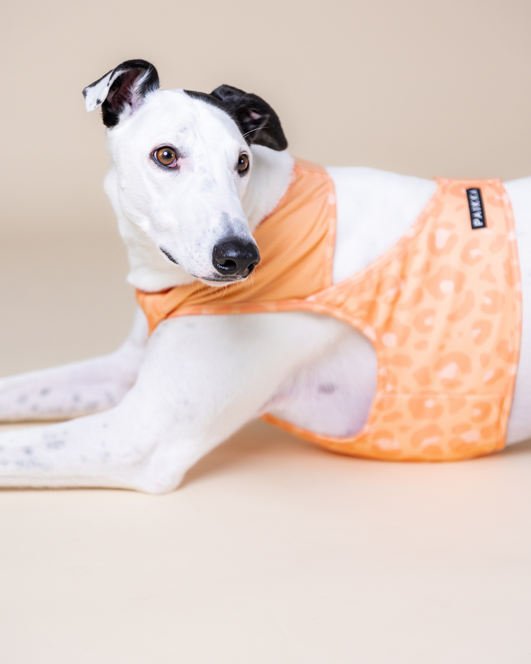 PAIKKA Cool Vest Pêche