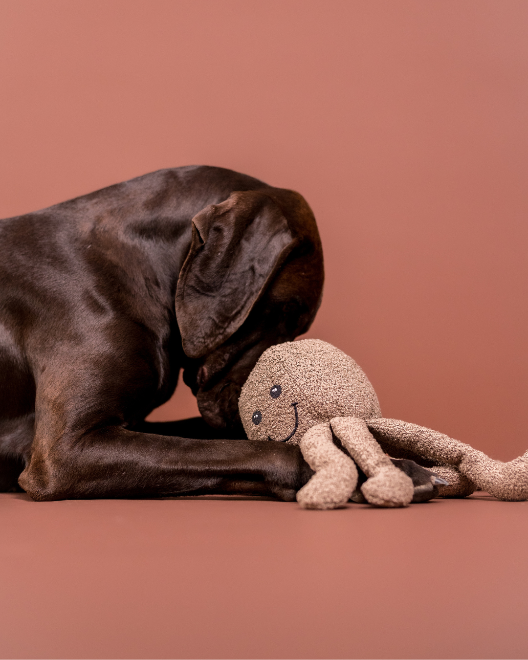 PAIKKA Dog Toy Bouclé Octopus