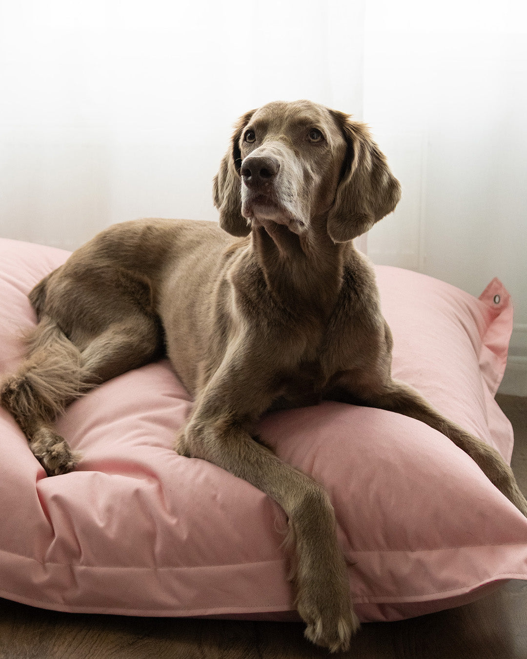 PAIKKA Lazy Outdoor Bed Pink