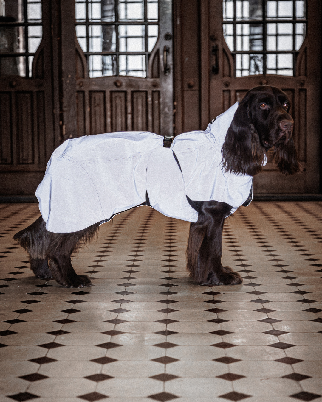PAIKKA Visibility Raincoat Lite for Dogs Taupe