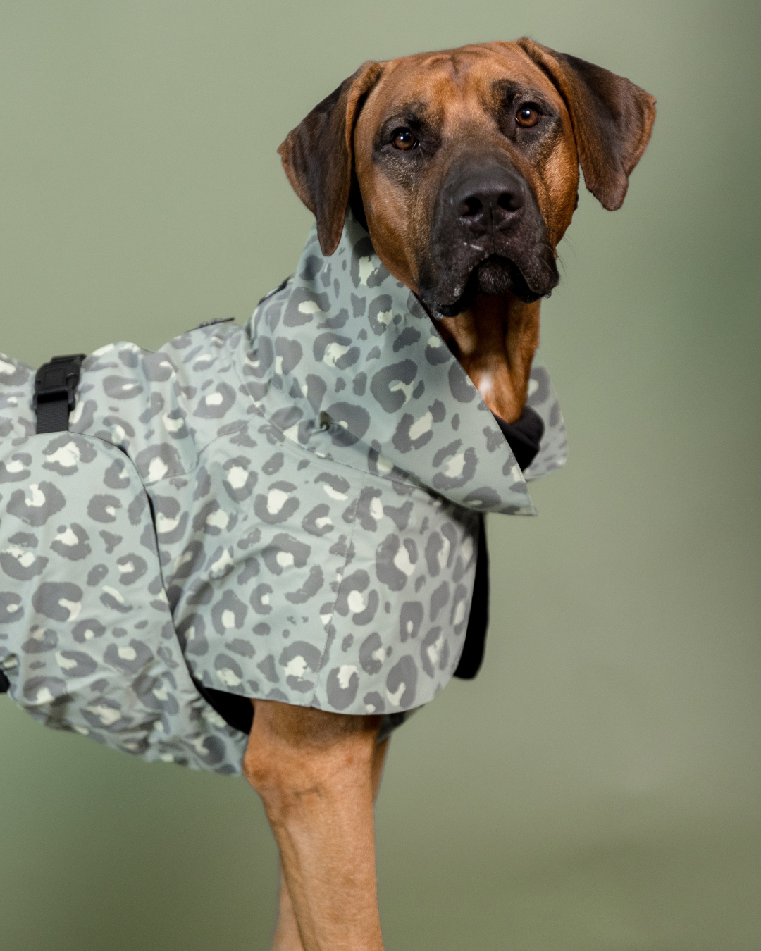 PAIKKA Visibility Raincoat for Dogs Lite Green Leo