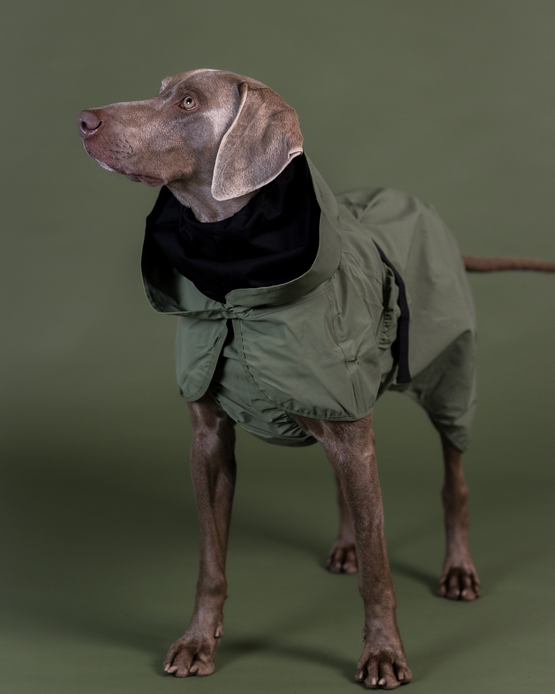 PAIKKA Reflective Shell Jacket Green