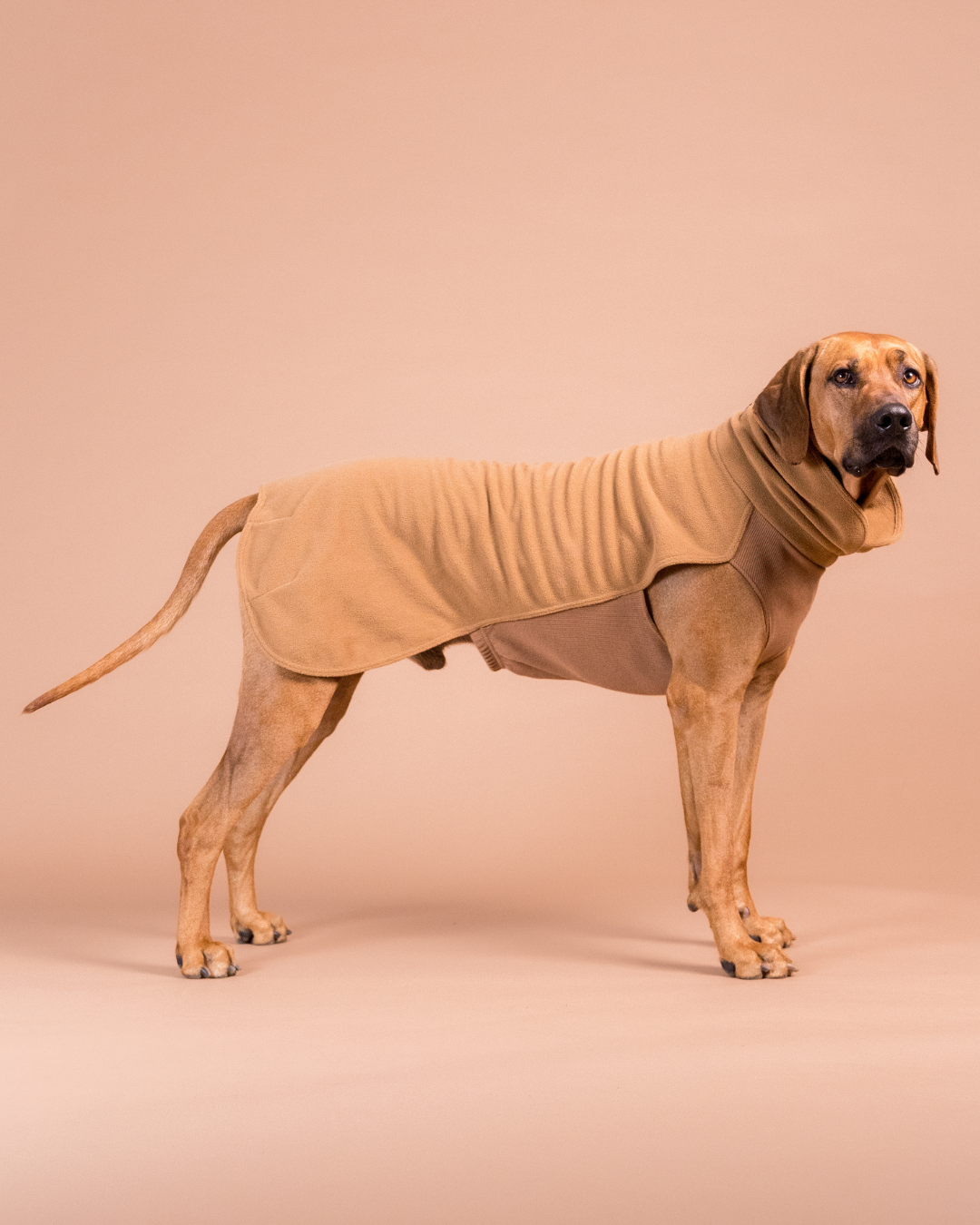 PAIKKA Seawool Hundeshirt Braun