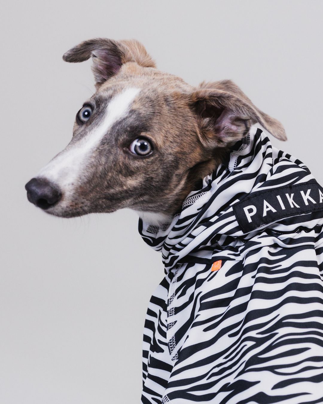 PAIKKA UV & Bug Overall