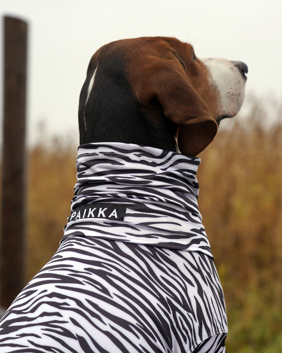 PAIKKA SS25 UV & Bug Shirt