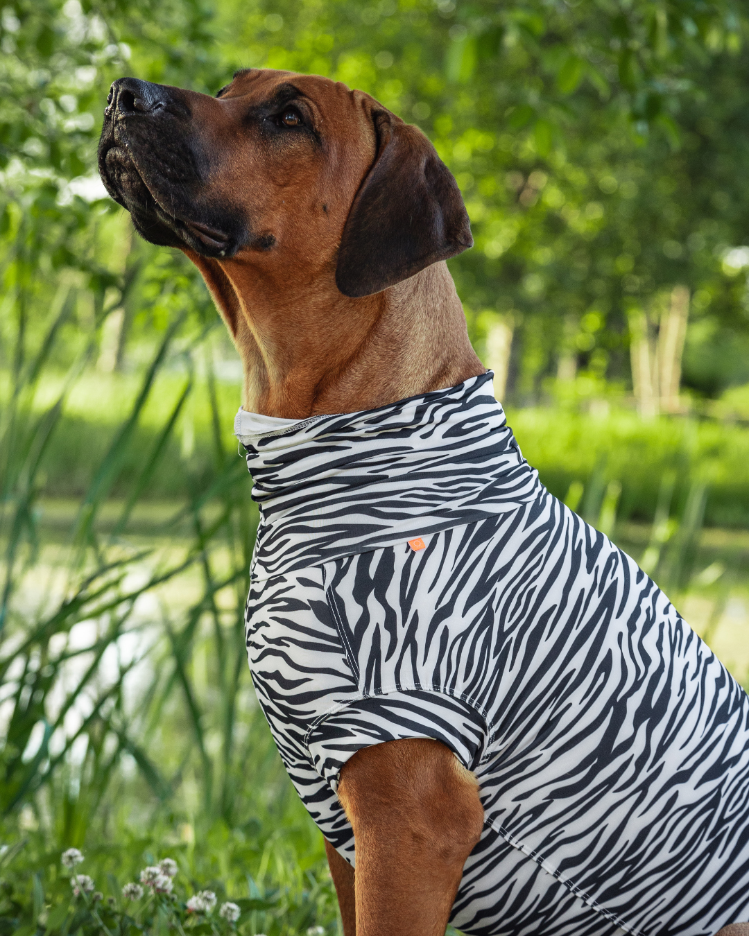 PAIKKA SS25 UV & Bug Shirt