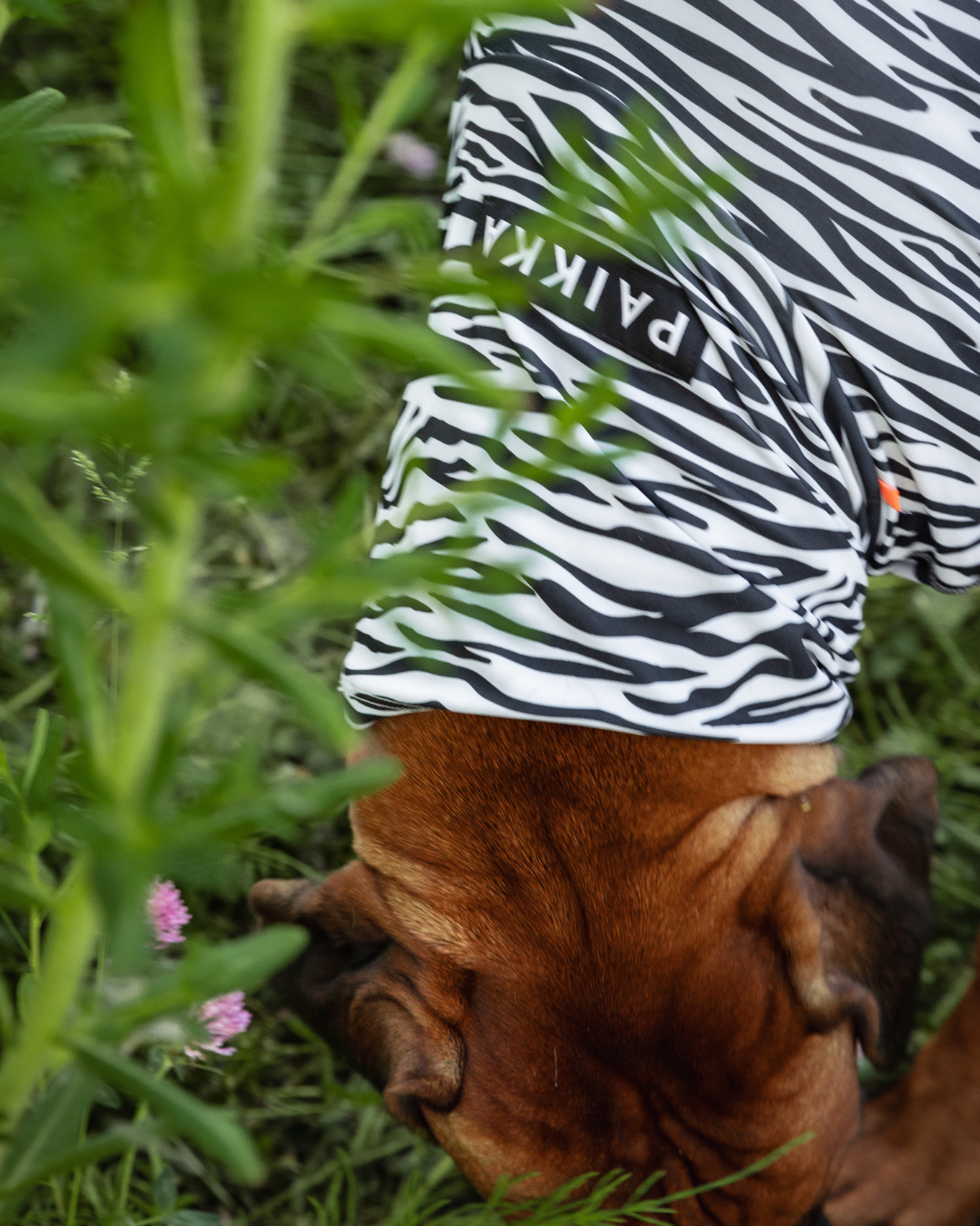 PAIKKA SS25 UV & Bug Shirt