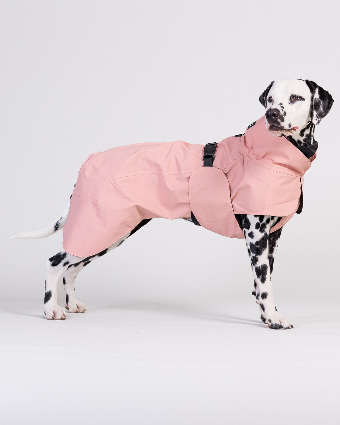 PAIKKA Visibility Raincoat Lite for Dogs Rose
