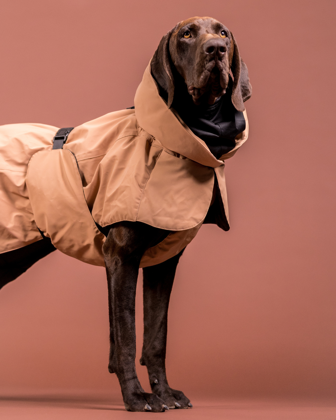 PAIKKA Visibility Winter Jacket Wool for Dogs Taupe