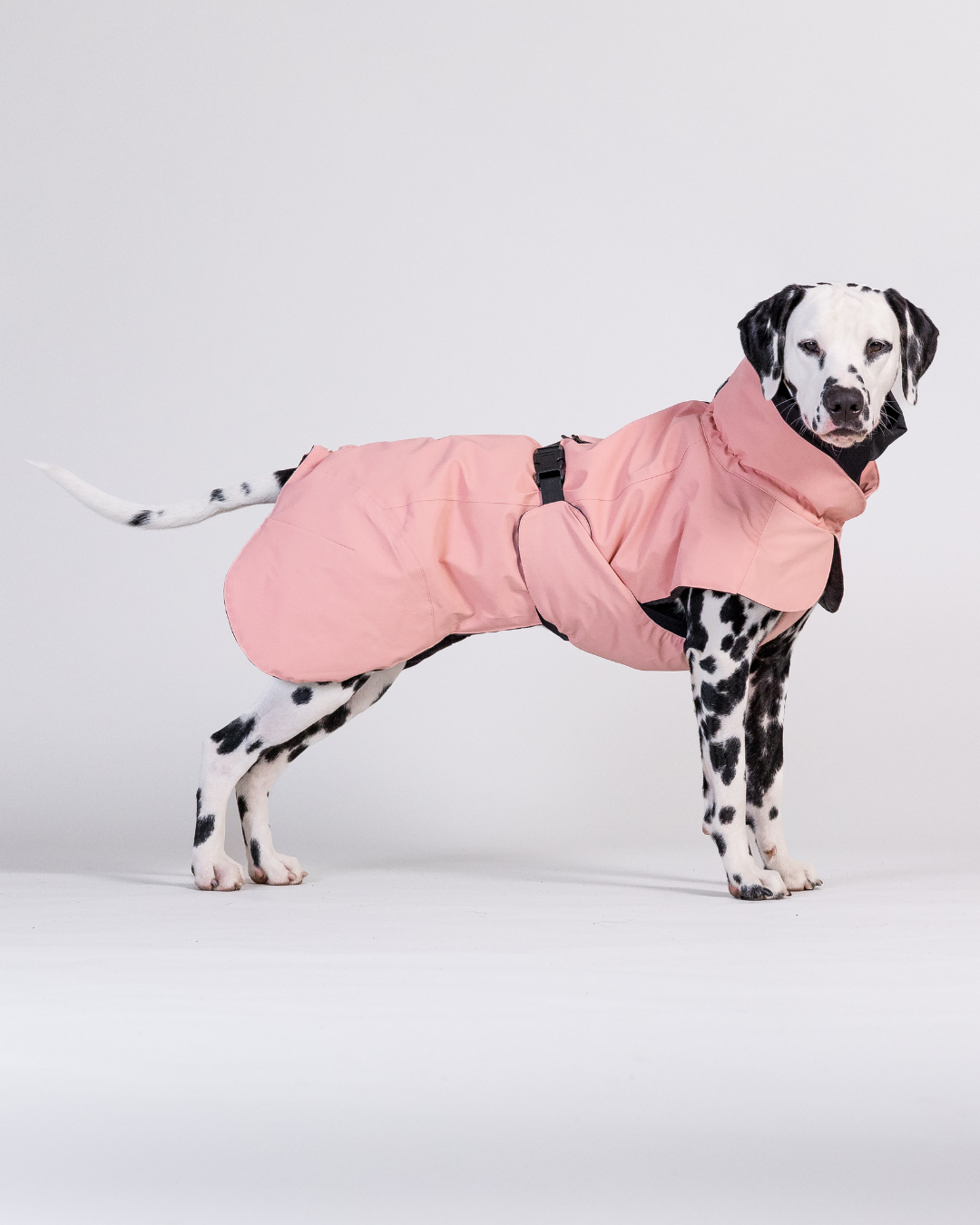 PAIKKA Visibility Hundewinterjacke Wool Rose