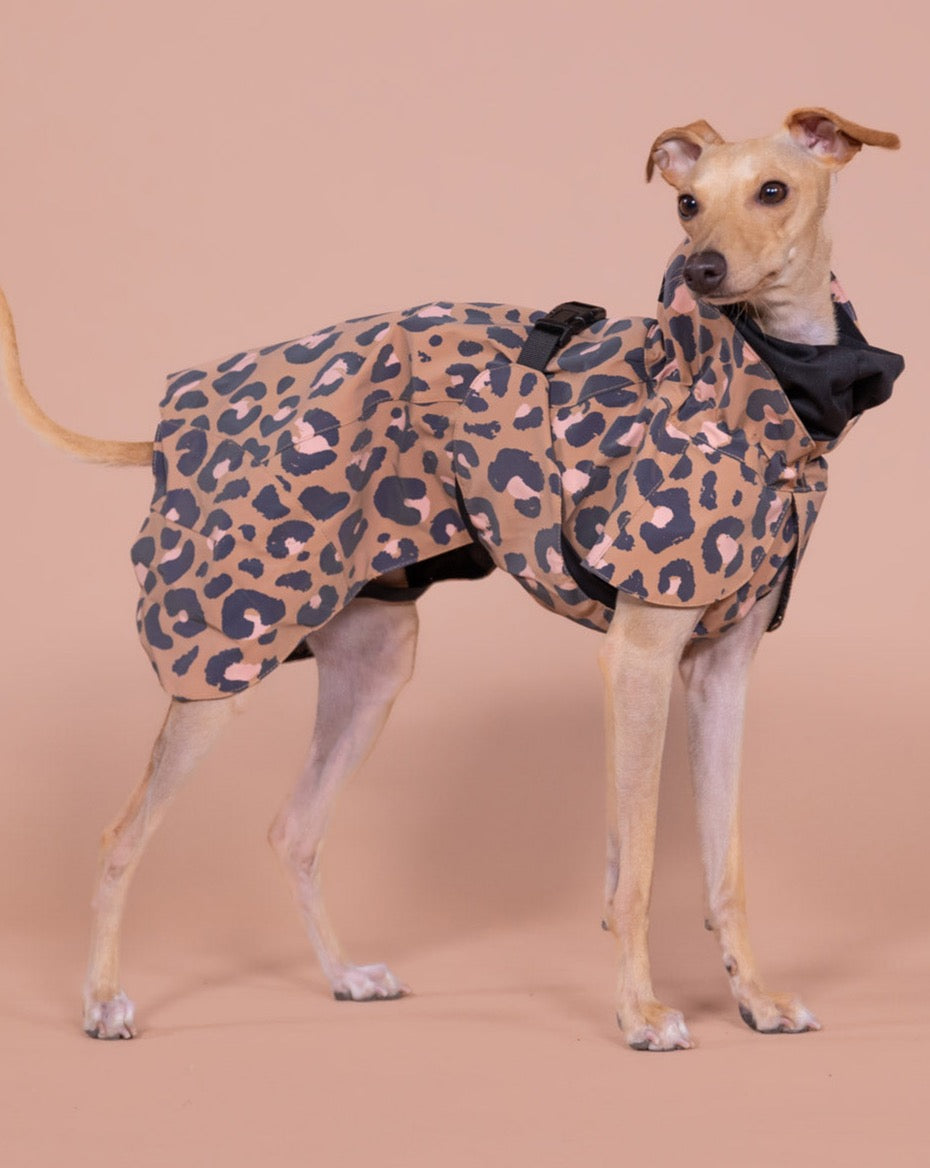 PAIKKA Visibility Raincoat Lite for Dogs Leo