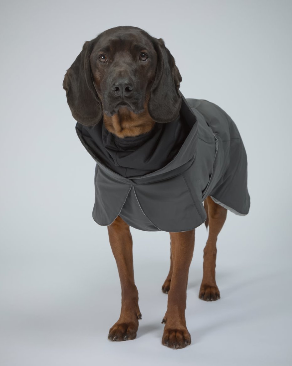 Hochreflektierende Hundewinterjacke Dark