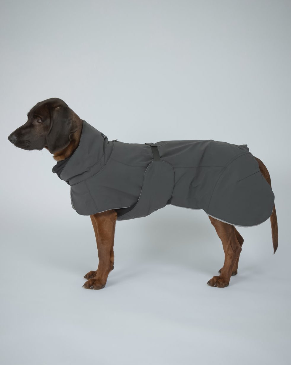 Hochreflektierende Hundewinterjacke Dark