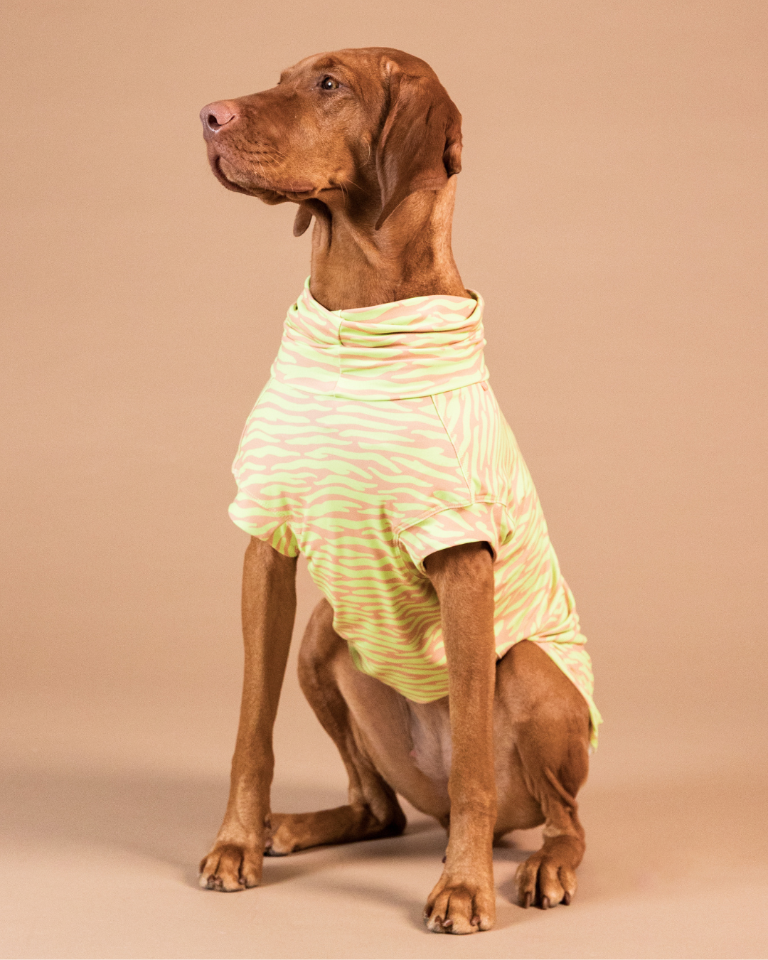 PAIKKA UV & Bug Shirt Matcha