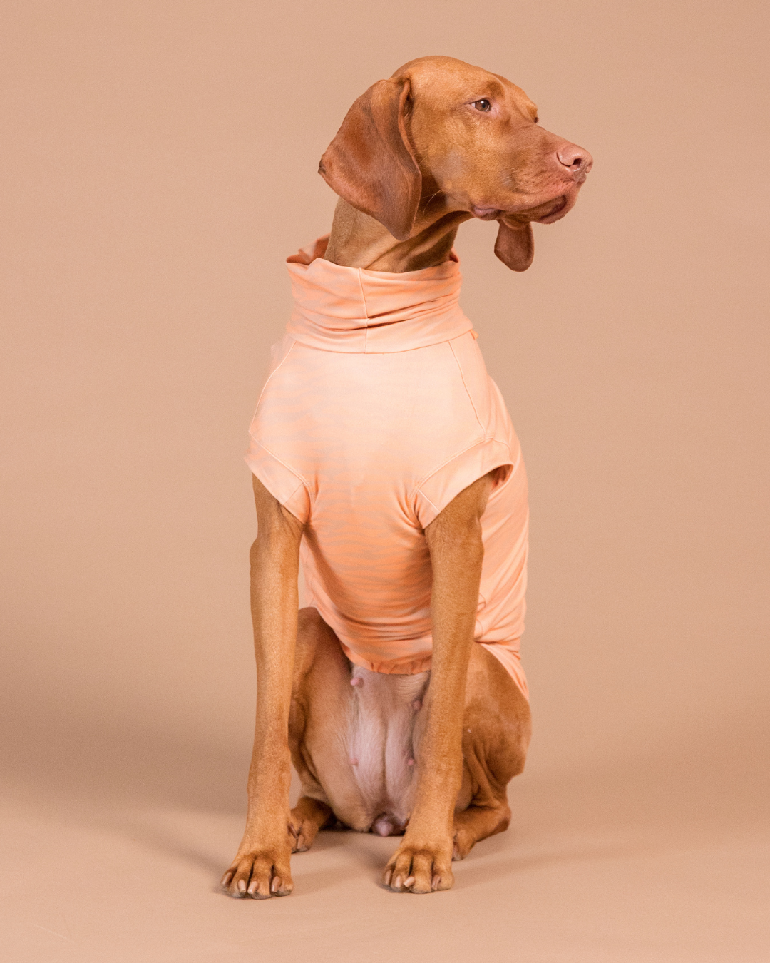 PAIKKA UV & Bug Shirt Peach