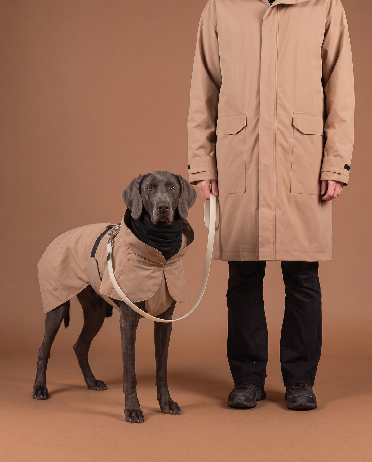 Visibility Bundle Taupe for Dog & Human