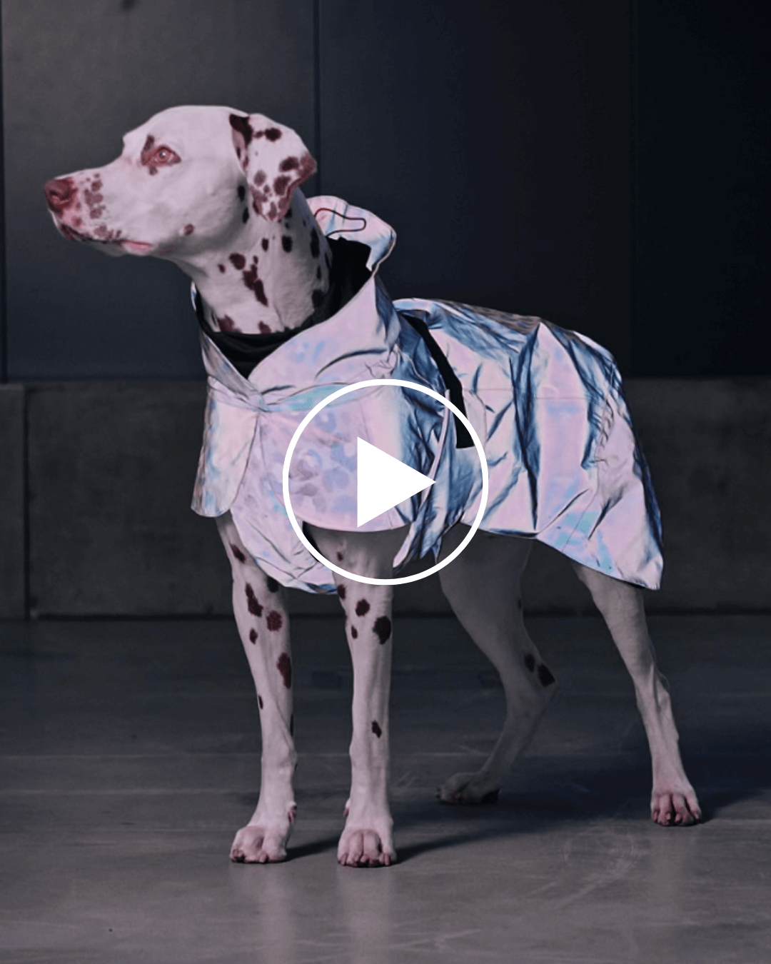 PAIKKA Visibility Raincoat Lite for Dogs Leo