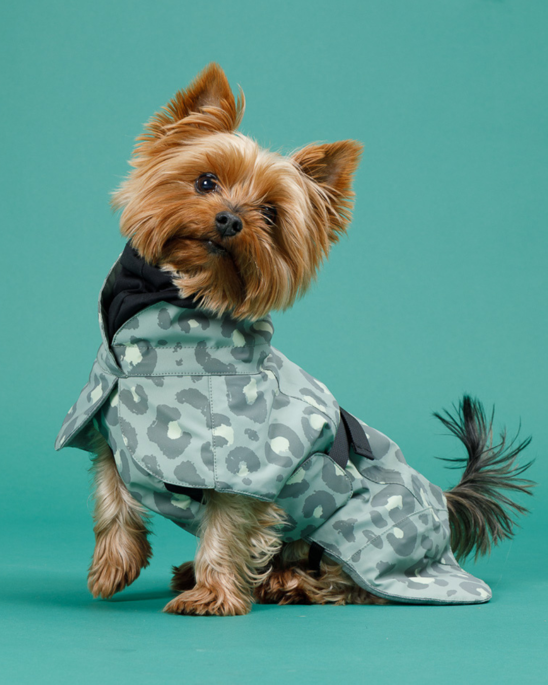 PAIKKA Visibility Winterjacke Green Leo