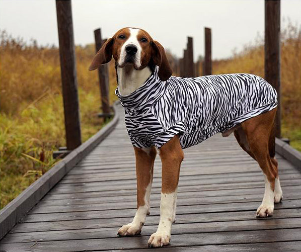 Business Insider chose UV & Bug Shirt as best protective dog clothing