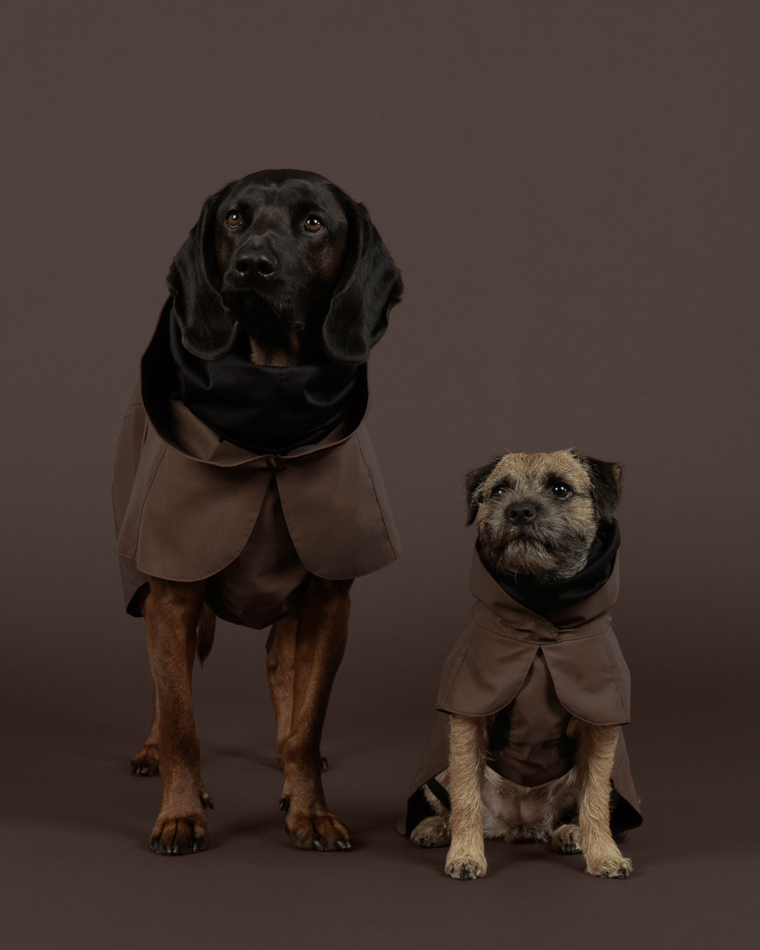 Winter Coats & Suits