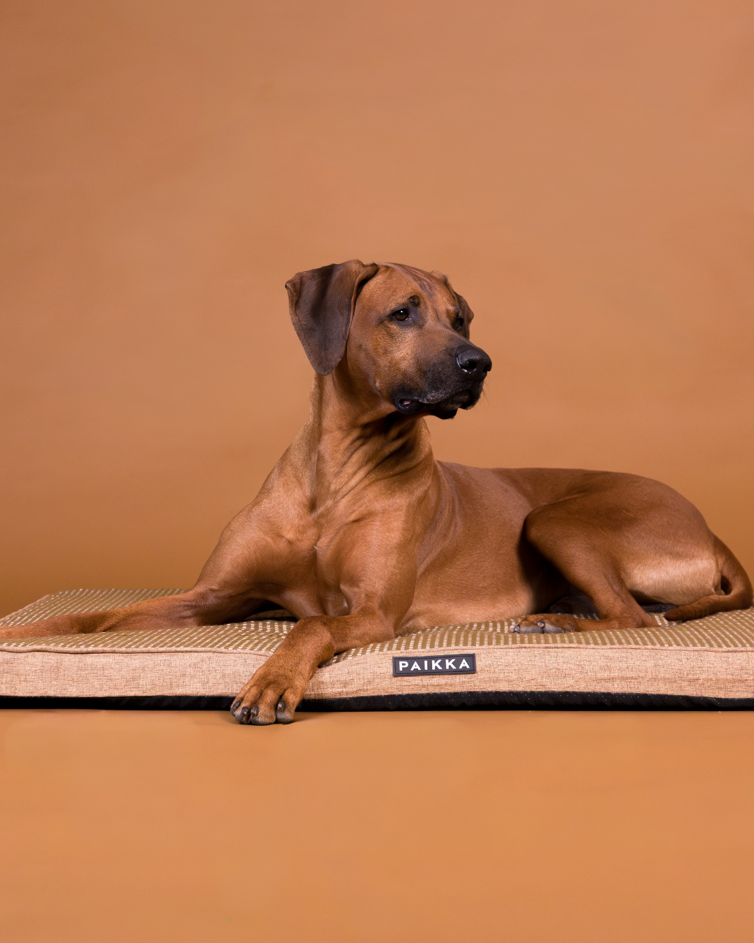 Orthopedic Cooling Beds & Blankets