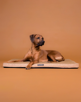 PAIKKA Cooling Orthopedic Mattress Taupe