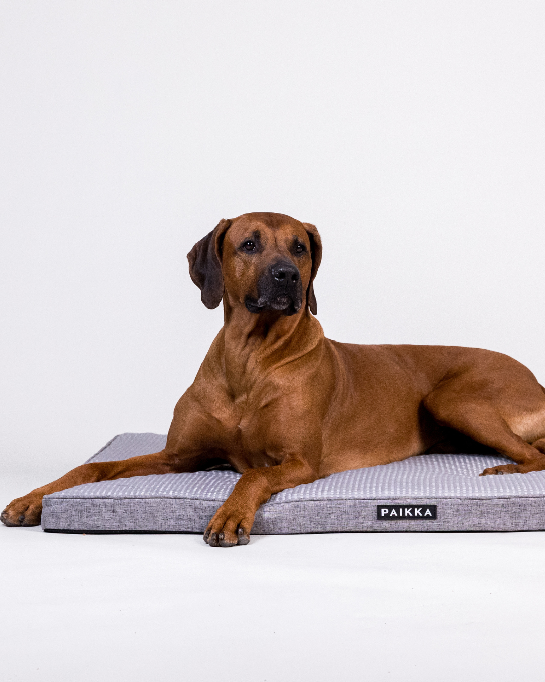 PAIKKA Cooling Orthopedic Mattress Grey