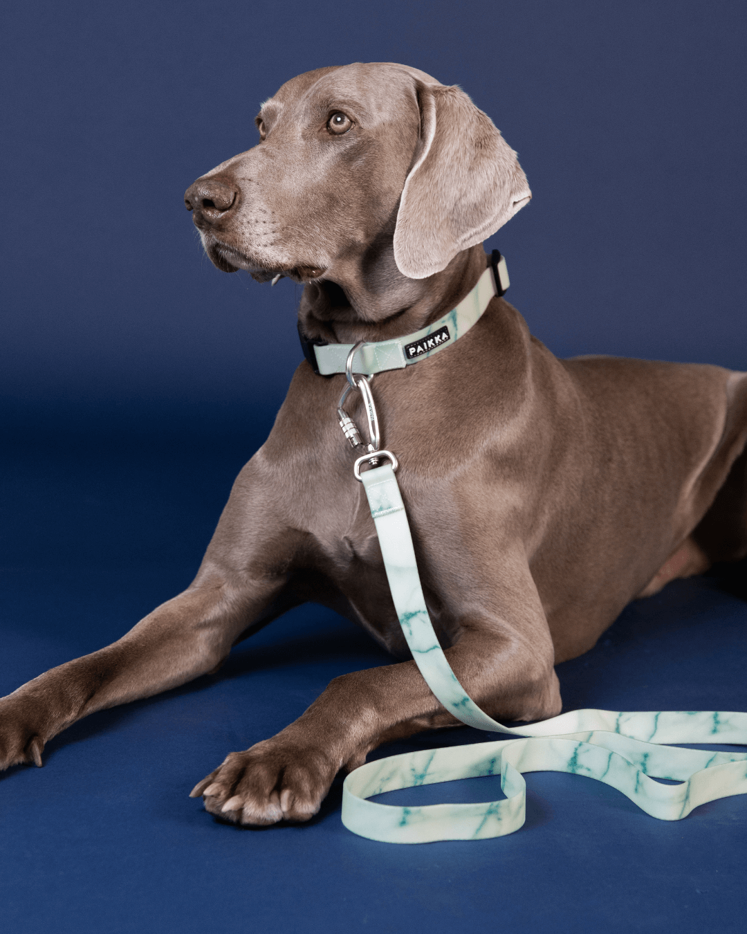 PAIKKA Glow Leash marble green