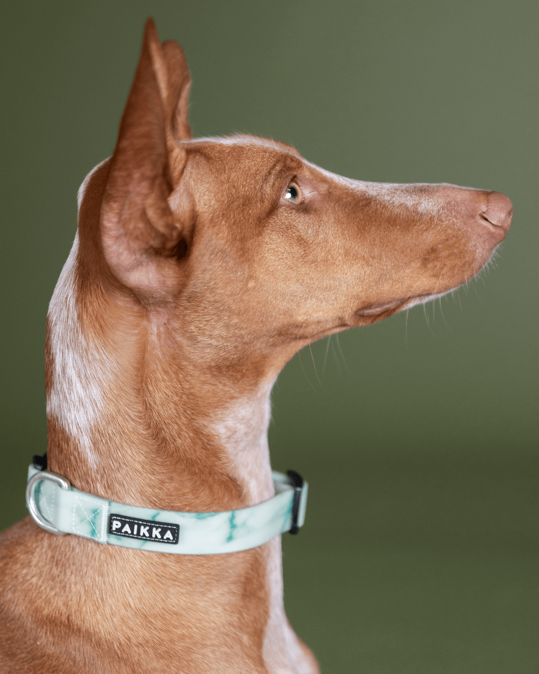 PAIKKA Glow Collar Marmorgrün