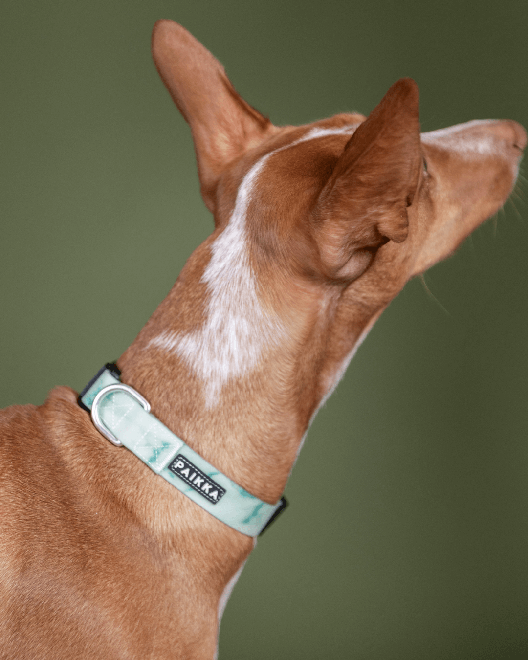 PAIKKA Glow Collar Marble Green