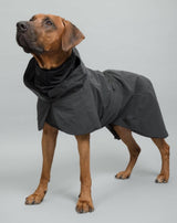 PAIKKA Visibility Hunderegenmantel Dark