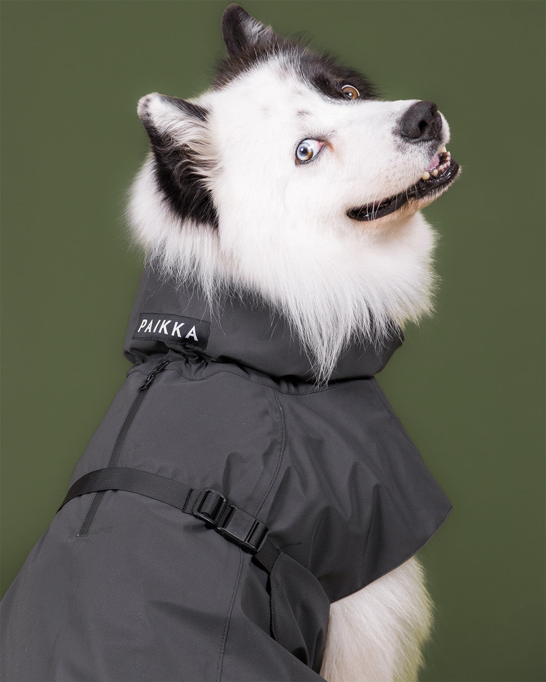 Visibility Raincoat Seawool Dark