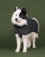 Visibility Raincoat Seawool Dark