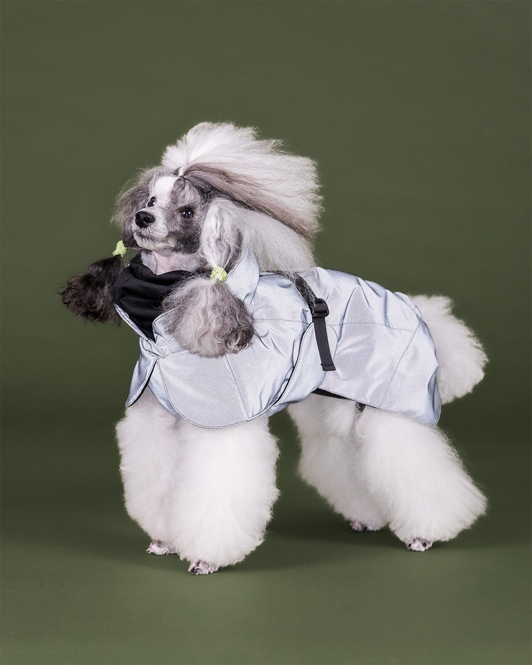 Visibility Hundewintermantel Seawool Dark