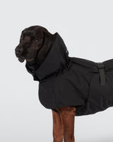 Recovery Raincoat Black