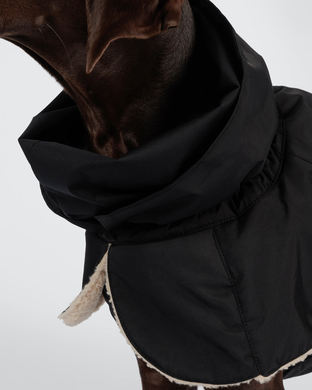 Winter Jacket KUURA black