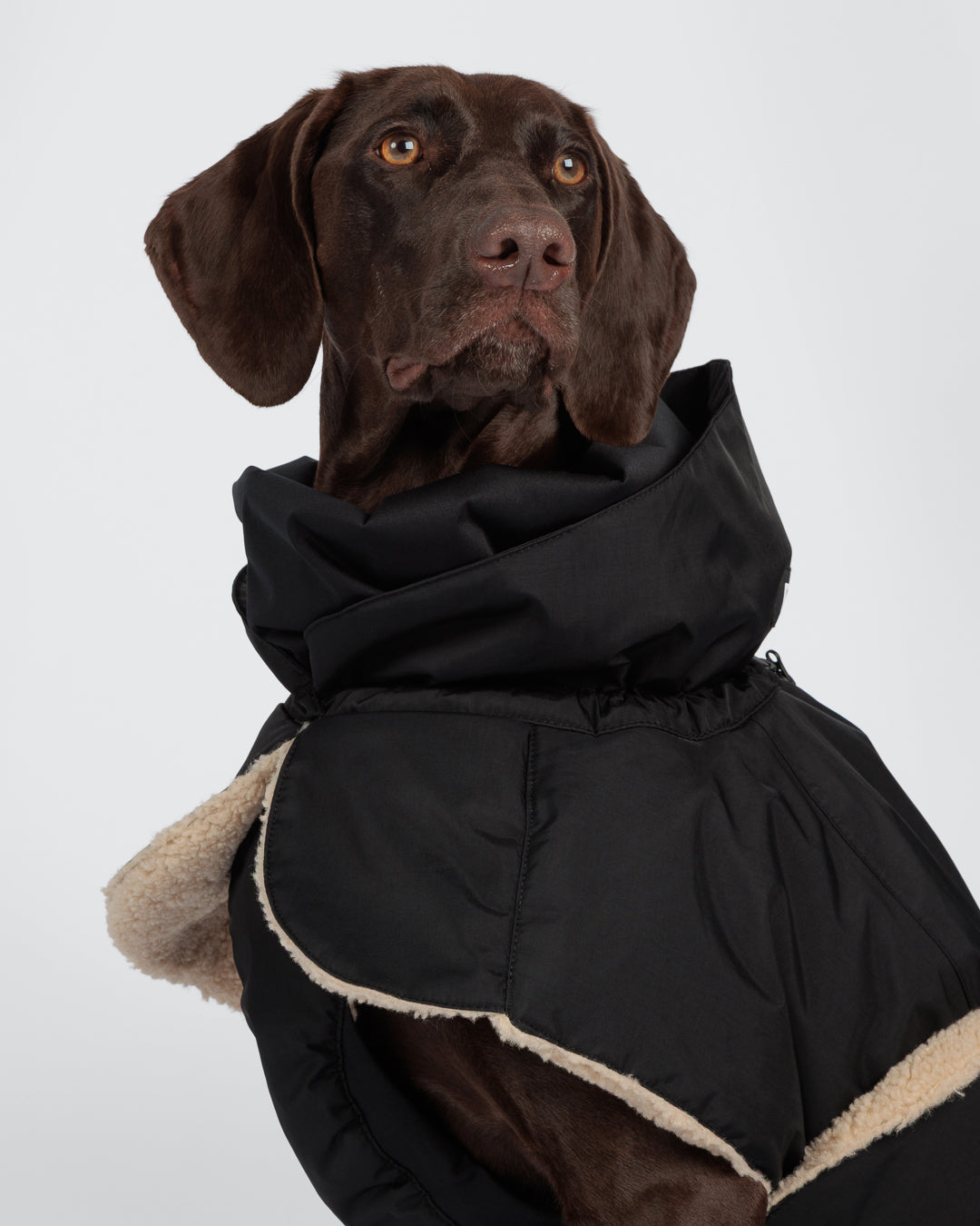 Winter Jacket KUURA black