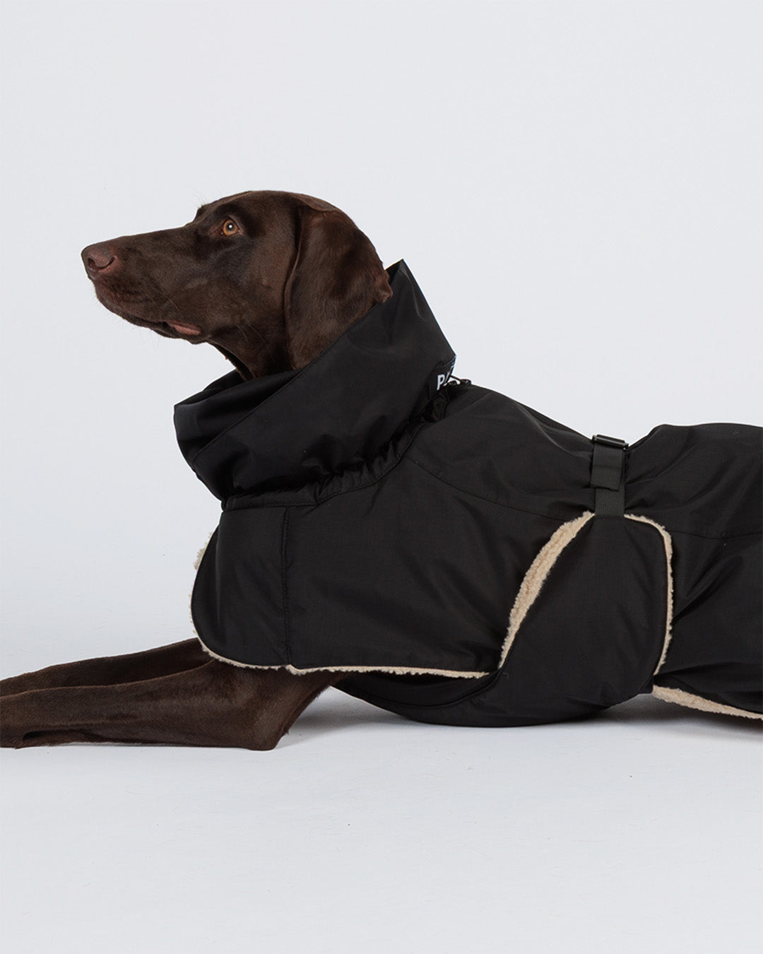 Winter Jacket KUURA black