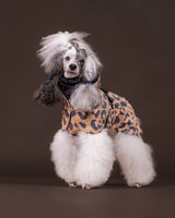 Visibility Raincoat Leo