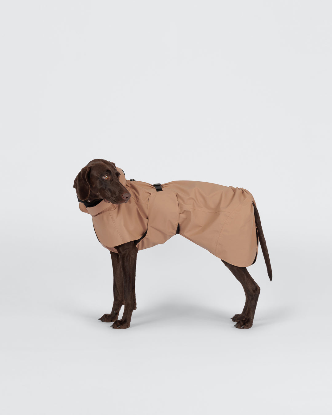 PAIKKA Visibility Hunderegenmantel Taupe NEU